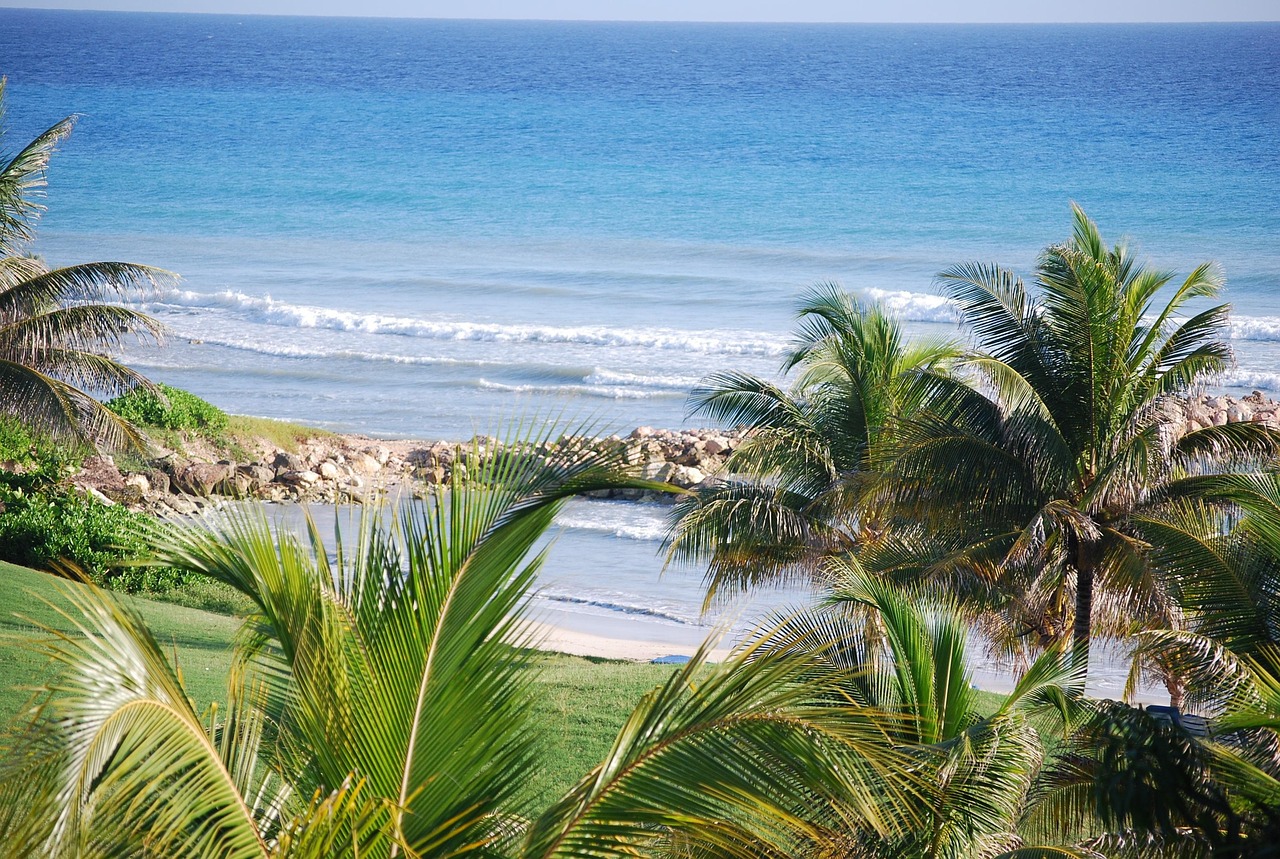 Caribbean beach with palms in Jamaica